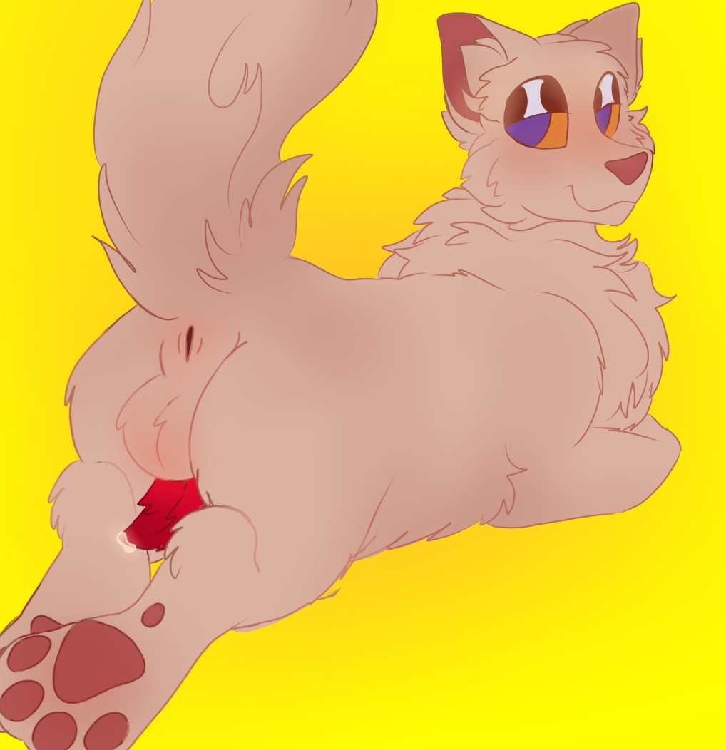 Rule 34 Dev | hentai popular | warriorcats